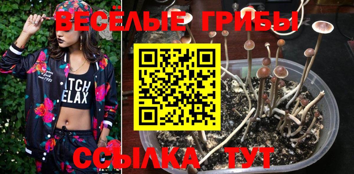 Мелеуз  Галлюциногенные грибы ЛСД  Галлюциногенные грибы Magic Shrooms  Вход с VPN 